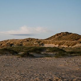 Schoorlse duinen | Reisfotografie van Inge de Lange