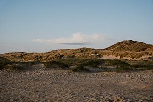 Schoorl Dünen | Reisefotografie von Inge de Lange