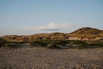 Schoorlse duinen | Reisfotografie van Inge de Lange