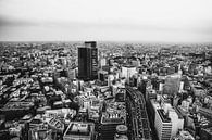Uitzicht over Tokyo van Sascha Gorter thumbnail