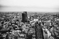 Uitzicht over Tokyo