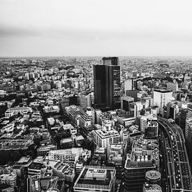 Uitzicht over Tokyo van Sascha Gorter