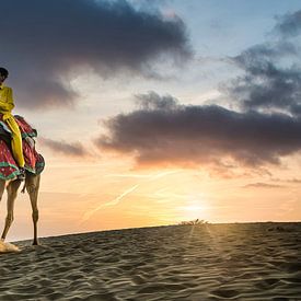 Kamelwächter in Indien, Jaisalmer von Paula Romein