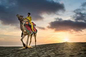 Kamelwächter in Indien, Jaisalmer von Paula Romein