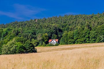 Prachtig landschap bij de Rennsteig/Thüringerwoud van Oliver Hlavaty