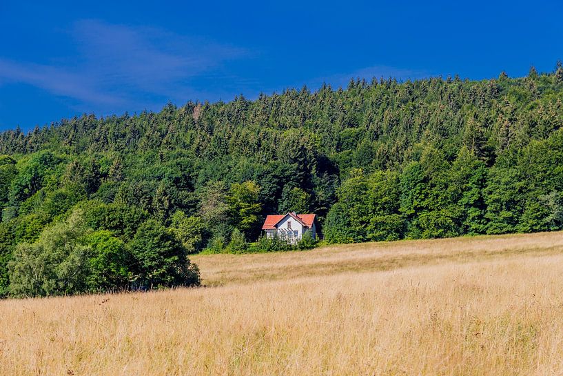 Beautiful landscape at the Rennsteig/Thuringian Forest by Oliver Hlavaty
