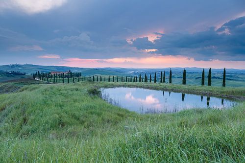 Avenue of Cypresses in Tuscany