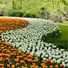 Tulpenveld in de Keukenhof van Tamara Witjes
