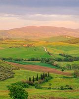 magisches Licht im Val d'Orcia in der Toskana