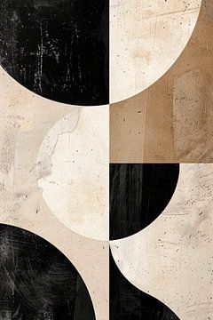 Minimalistische Abstractie van Zwart-Witte Tinten van De Muurdecoratie