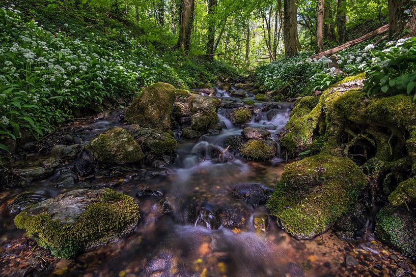 Hemelbeek by Martin de Bock