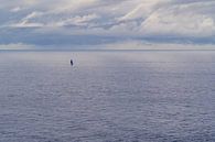Zeilboot, alleen op zee van Martijn Joosse thumbnail