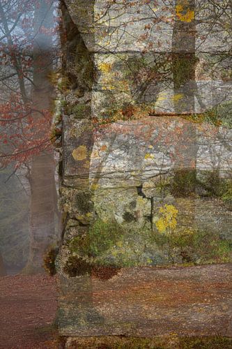 Abstracte fotografie | Fantasie | Modern abstract | Groen en geel mos op gesteente