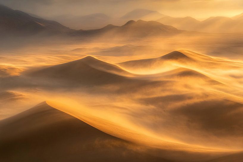 Gently rolling dunes in sunlight by Imperial Art House