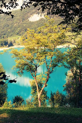 Nature Italia