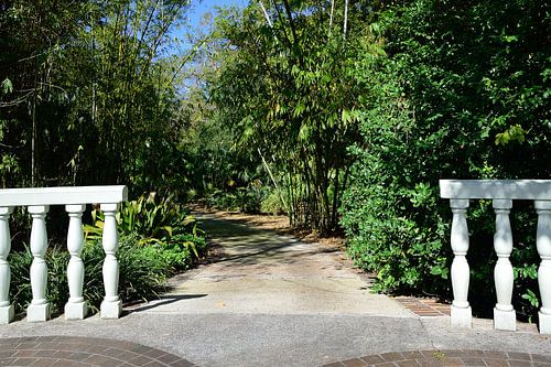 Trellis gebied
