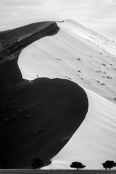 Namibische woestijn van Richard Guijt Photography