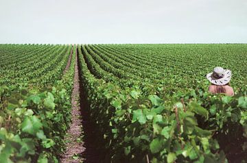 Une femme dans les vignes sur Daphne Groeneveld