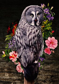The wise owl by Bert Hooijer