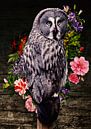 The wise owl by Bert Hooijer thumbnail