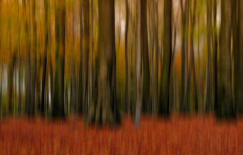 Boomstammen in het herfstbos van Ellen Driesse