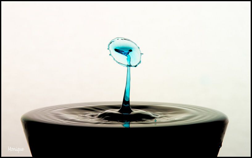 Drop photography by Monique Bijl - van der Heijden