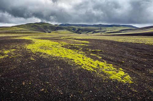Landschap met lava veld in het binnenland van IJsland