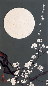 Traditioneller japanischer Holzschnitt: Blühende Kirschblüten bei Vollmond in Anthrazit