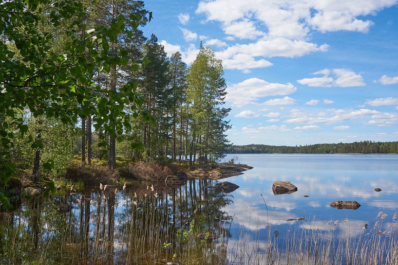 Swedish landscape 152 by Geertjan Plooijer