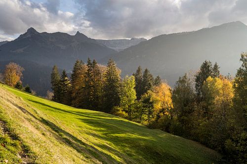 Herfstlicht over de bergweide