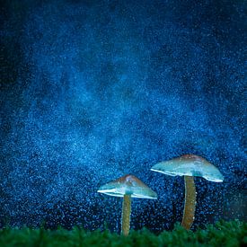Mushrooms on the galaxy by Berend-Jan Bel