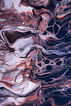 Vloeibare kleuren: Van wit naar zwart met bruin en aarde tinten van Marjolijn van den Berg