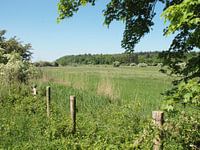 Paysage de prairies hollandaises le long de Hartensepad