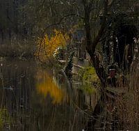 Fairytale forest