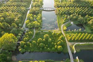 Gouden uur in Maximapark, Utrecht van Stefan Wapstra