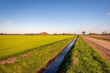 Vaste paysage de polders en automne, Hooge Zwaluwe