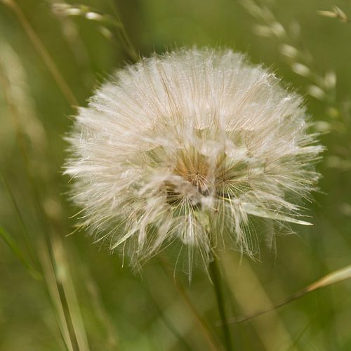 For the future by Esther Swaager