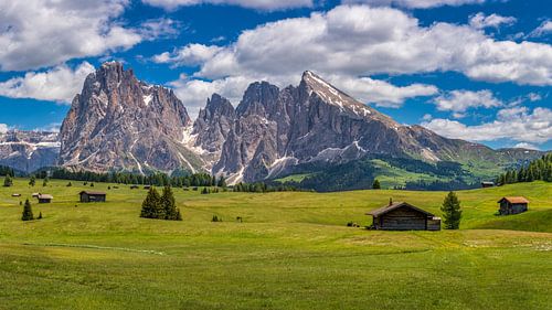 Alpe Di Siusi - Seiser Alm - Dolomieten -Italië