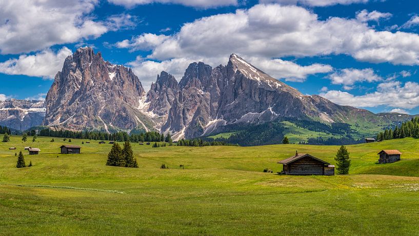 Alpe Di Siusi - Seiser Alm - Dolomieten -Italië van Teun Ruijters