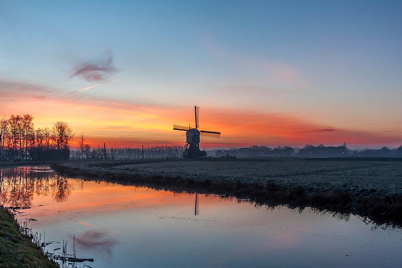 Parel van de polder van Stephan Neven