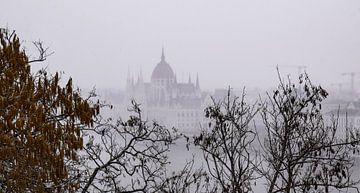 Budapest, Hungary - III by Jarne Buttiens