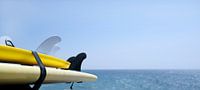 Surfboards with the sea in the background