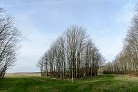 Inner dike - Outer dike photo 20