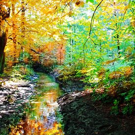 Het herfstbos langs de beek van Jasper Bloemsma