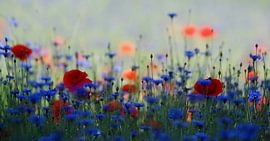 Flower Power. von Anita Verhaegh