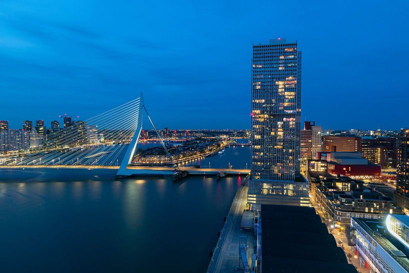 Erasmusbrug van Jan Koppelaar