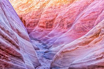 Path Through a Pink Canyon by Joseph S Giacalone Photography