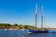 Zeilschip op de Warnow tijdens de Hanse Sail in Rostock van Rico Ködder thumbnail