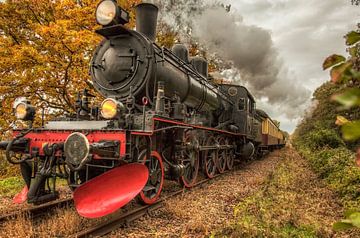 Miljoenenlijn tijdens de herfst in Zuid-Limburg by John Kreukniet