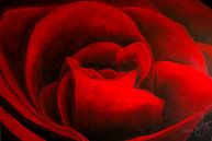 Rote Rosen von Christoph Van Daele Miniaturansicht